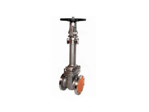 API Flanged Stainless Steel Bellows Seal Gate Valve