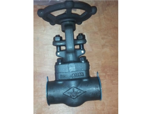 Threaded Forged Steel Globe Valve